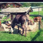 Séjour à la ferme Gruenholz Itter