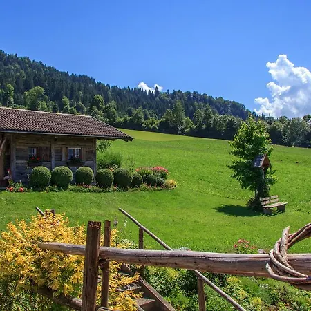 Grünholz * Itter