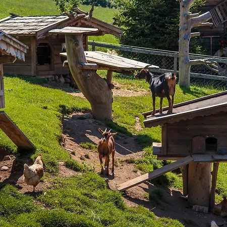 Gruenholz * Itter