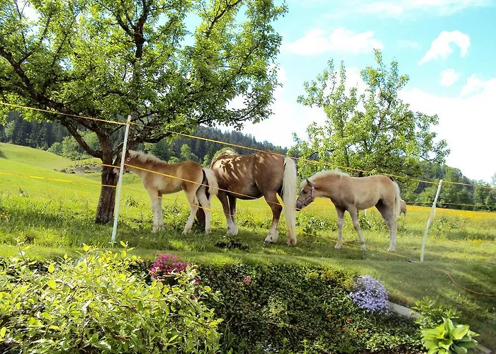 Gruenholz Séjour à la ferme