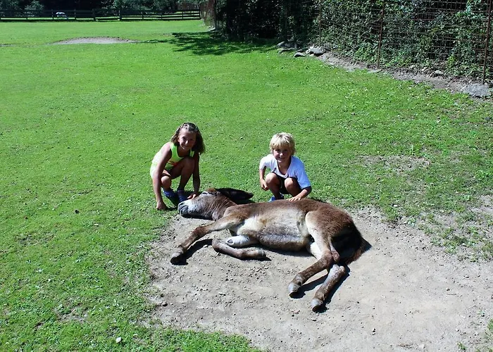 Grünholz Bauernhof *