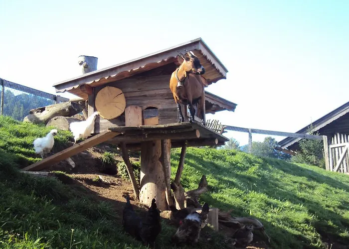 Bauernhof Grünholz Itter