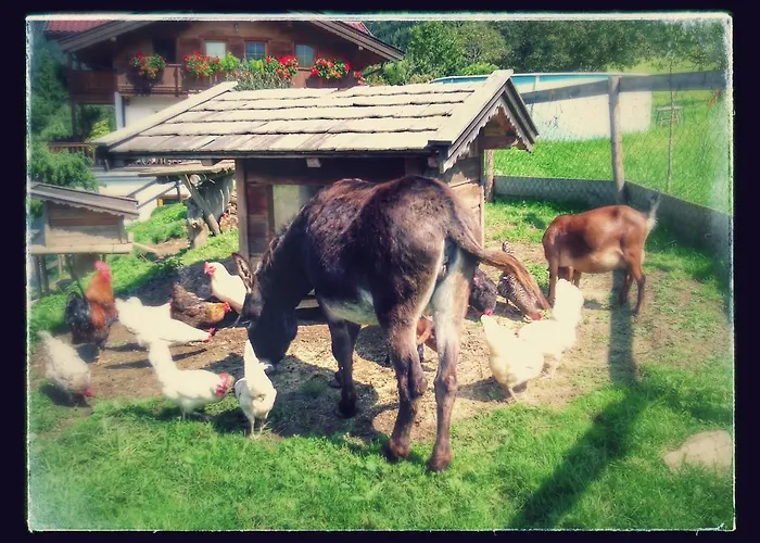 Bauernhof Grünholz Itter