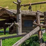 Gruenholz *