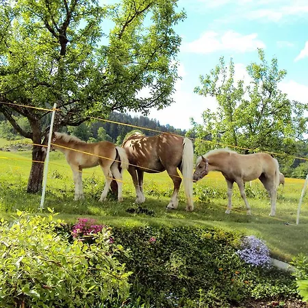 Grunholz Farm stay