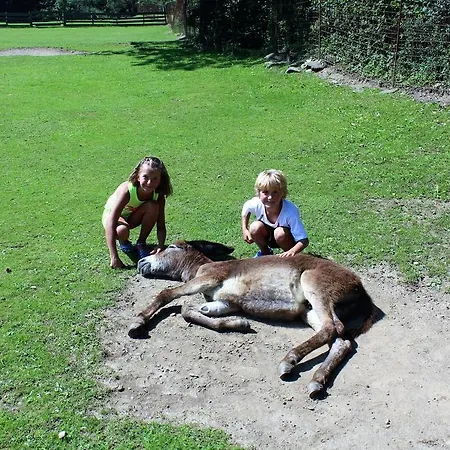Grunholz Farm stay *