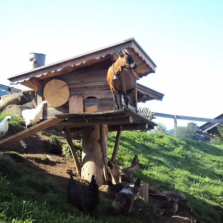Vakantieboerderij Gruenholz Itter