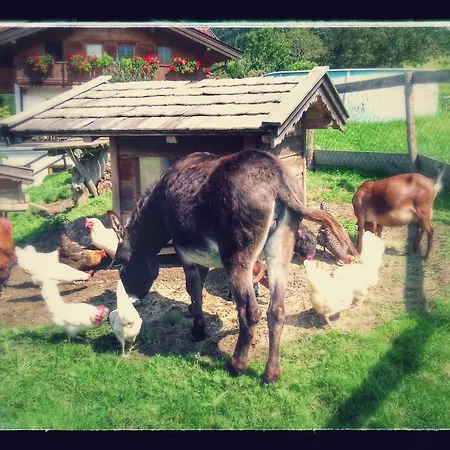 Vakantieboerderij Gruenholz Itter